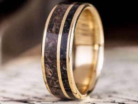 The Origin | Men s Gold Wedding Band with Megalodon Tooth & Black Volcanic Sand Online Sale