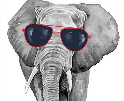 RN359 - Looking Cool Elephant - 12x16 Discount