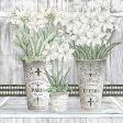 CIN2680 - Amaryllis Multi Pots - 12x12 Supply